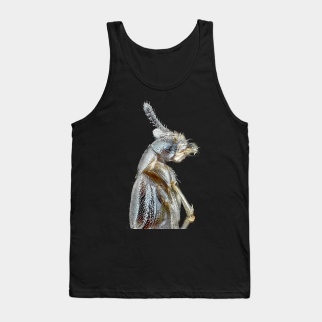 Rove beetle under the microscope Tank Top by SDym Photography